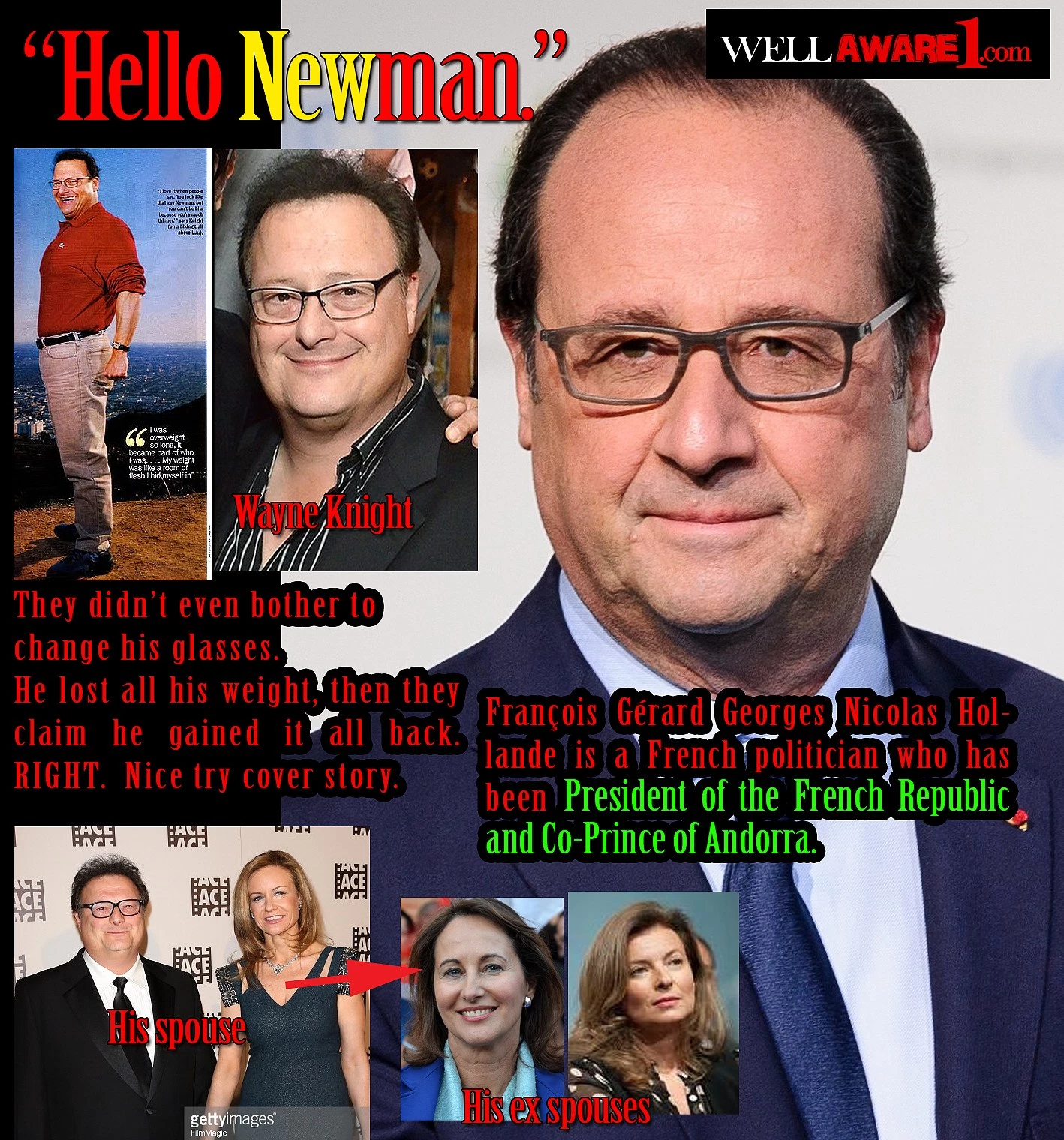 wayneknight