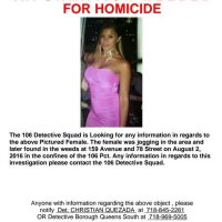 080416-wabc-nypd-poster-howard-beach-img-not1280-img