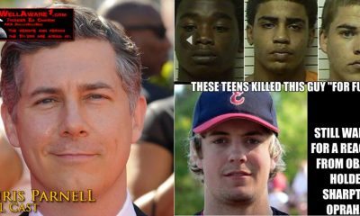 Chris Parnell SNL (Shills N Liars)