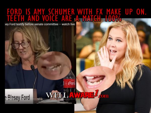 amy schumer,