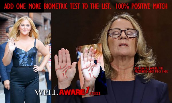 ford, amy schumer